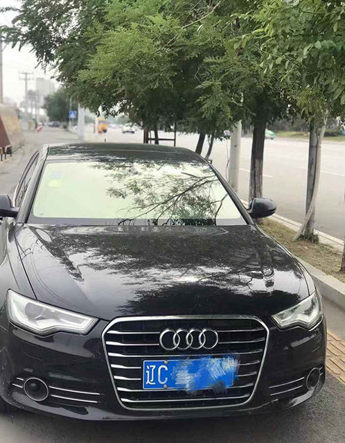 005vnhZYgy1g7e3cezd6zj30dw0ij7jt.jpg