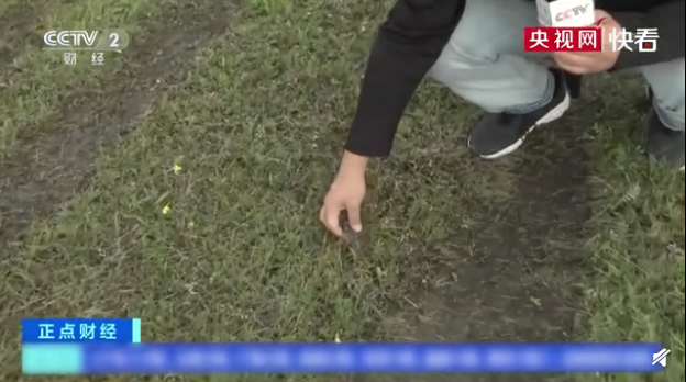1599292245831963.png QQ浏览器截图20200905154345.png