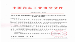 36款国产车上榜，第二批新能源汽车下乡名单公布
