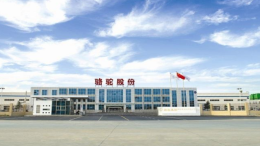 让梦想走得更远 雅阁携骆驼温暖同行