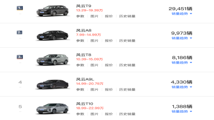 大型增程SUV！奇瑞风云T11盲订