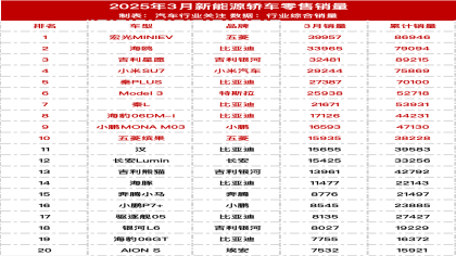 2025年3月新能源轿车/SUV零售销量榜