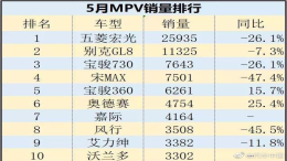 5月份MPV市场同比下滑22.9%，五菱宏光依旧卫冕冠军