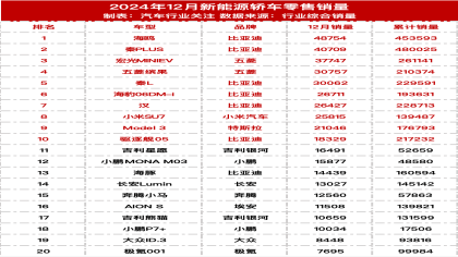 2024年12月新能源汽车销量榜