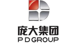庞大集团董事长庞庆华申请辞职 集团内部将进行资产重组
