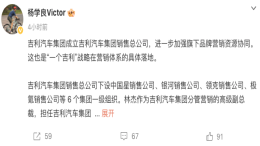 吉利汽车集团成立销售总公司
