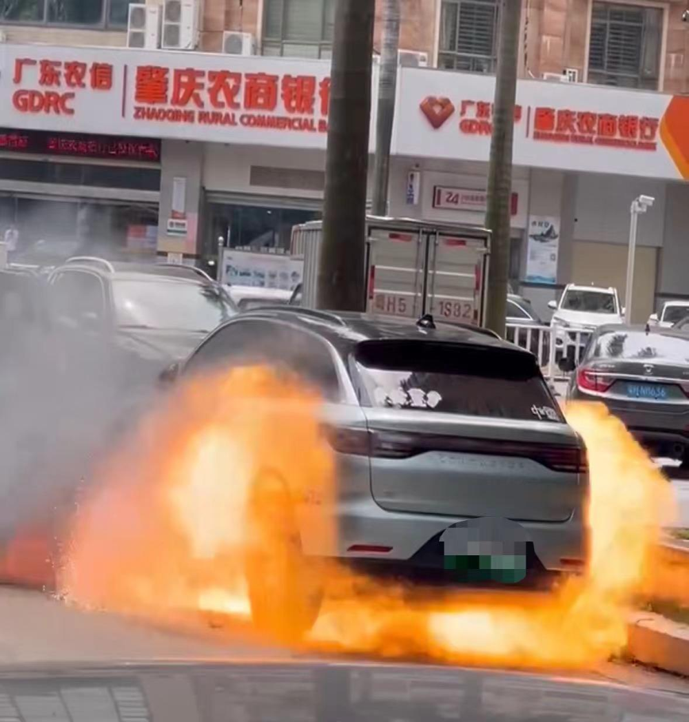 零跑汽车某车型三个月被传起火两次