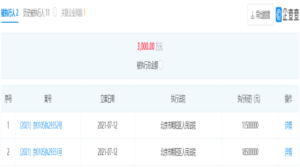 乐视网将乐视汽车告了，被强制执行3000万元！