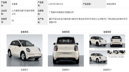 缤果系列新车！五菱缤果Pro申报