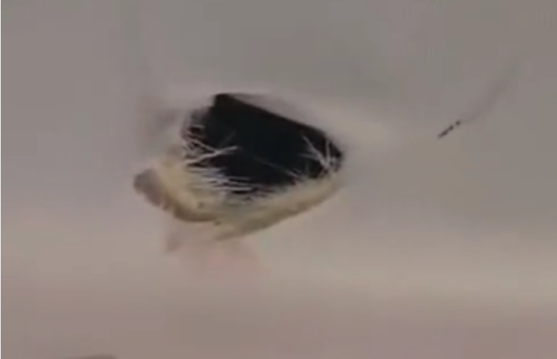 1598601811426704.png image.png